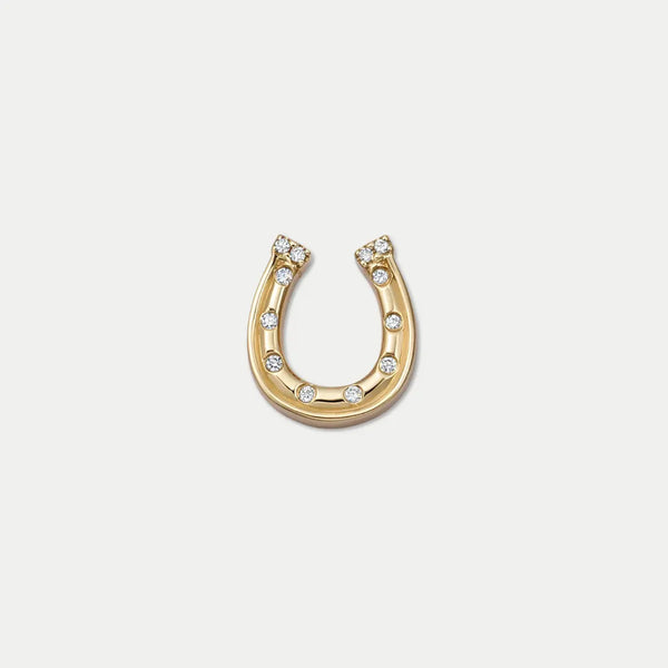 Horseshoe luck Charm