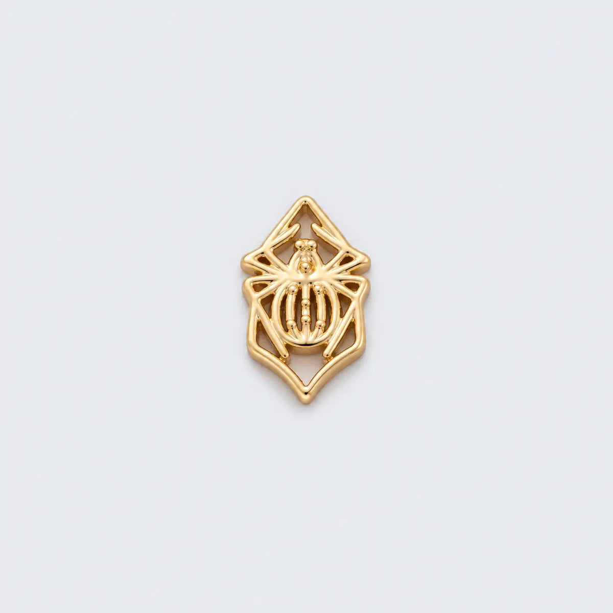 The Weaver Spider Charm